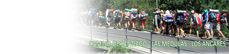 camino.jpg